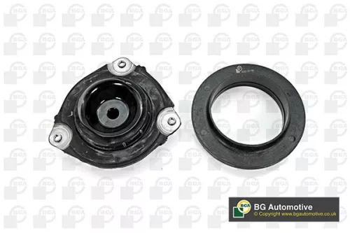 BGA Strut Mount Kit (SM6307)