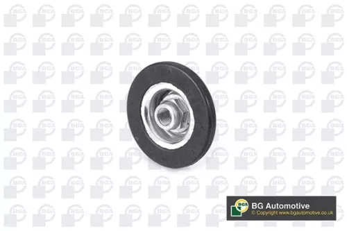 BGA Strut Mount Kit (SM7324)