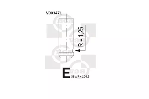 Intake Valve