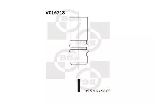 Intake Valve