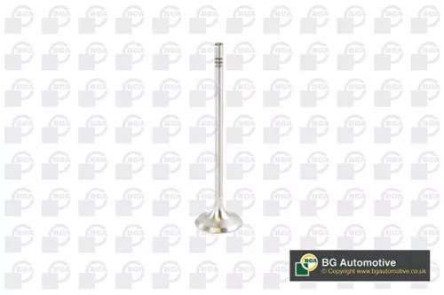BGA BGA V016839 Intake Valve 