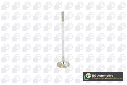 BGA BGA V016840 Exhaust Valve 
