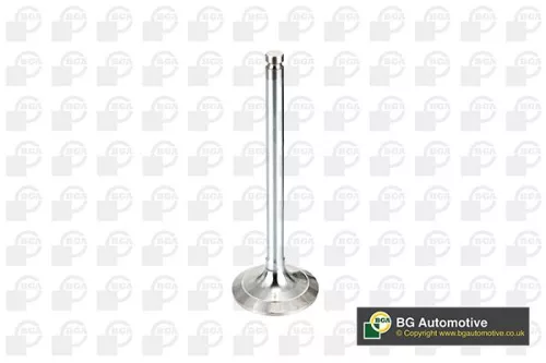 Intake Valve