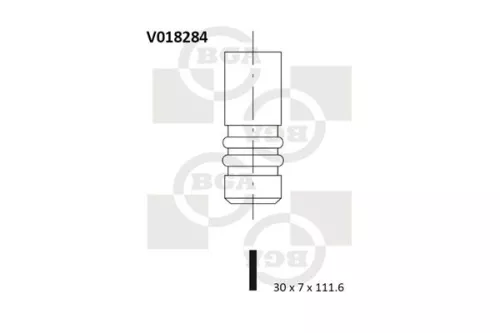 BGA Exhaust Valve (V018284)