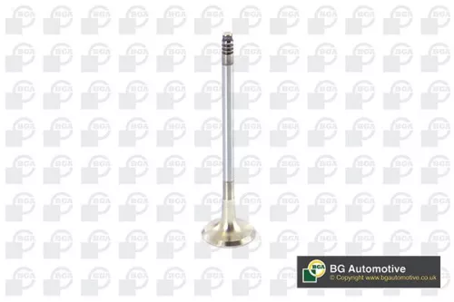 Exhaust Valve