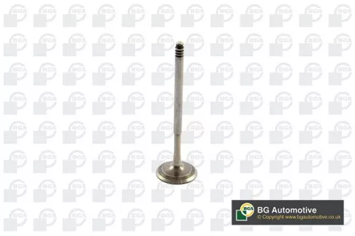 Intake Valve