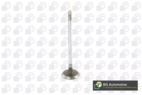 BGA BGA V123002 Intake Valve 