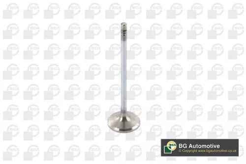 BGA BGA V123821 Intake Valve 