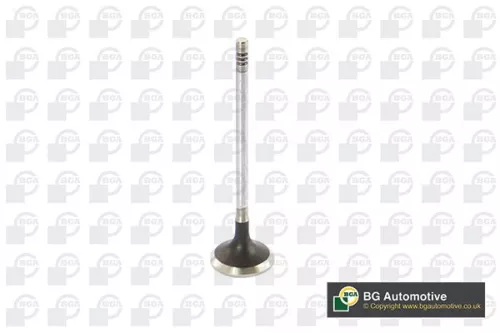 Exhaust Valve