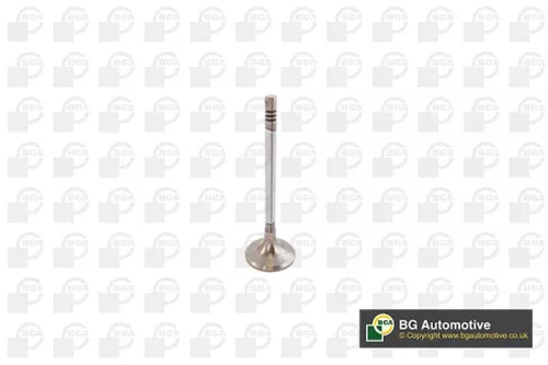 BGA BGA V142049 Intake Valve 