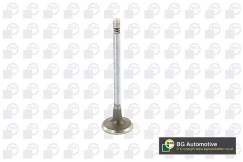 BGA BGA V149481 Intake Valve 