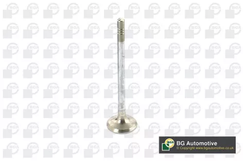 BGA Exhaust Valve (V149482)