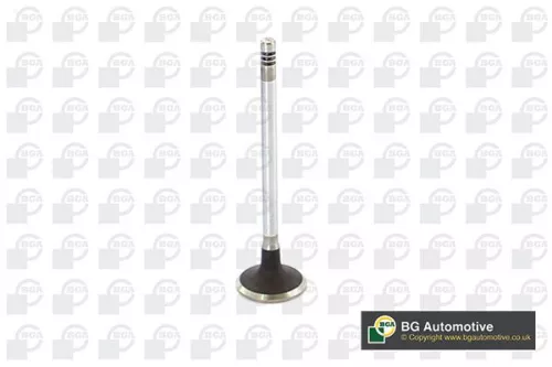 BGA BGA V149486 Intake Valve 