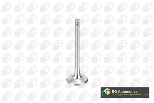 BGA BGA V163720 Intake Valve 