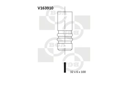 Intake Valve