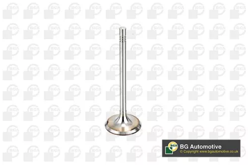 BGA BGA V164520 Intake Valve 