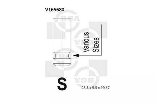 BGA BGA V165680 Intake Valve 