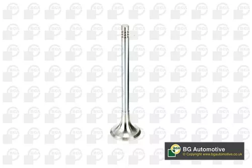 Exhaust Valve