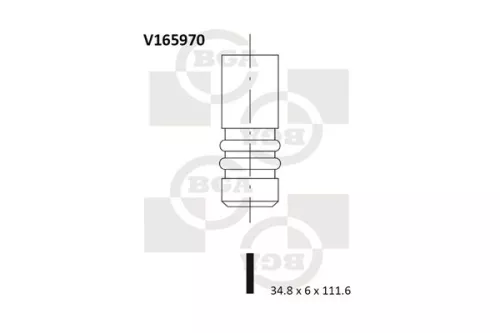 BGA BGA V165970 Intake Valve 