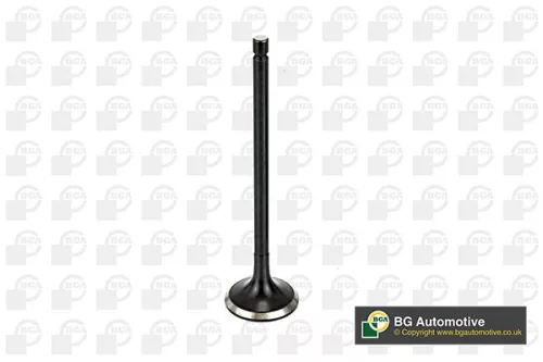 BGA Exhaust Valve (V166041)