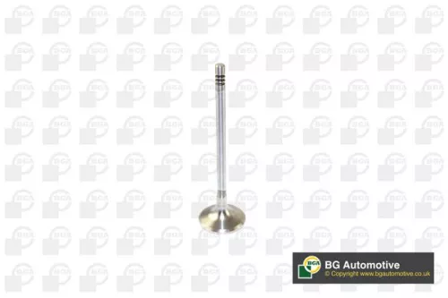 Intake Valve