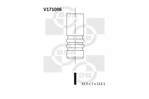 BGA BGA V171006 Intake Valve 