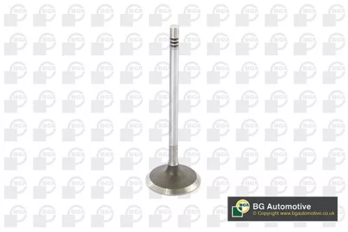 Intake Valve