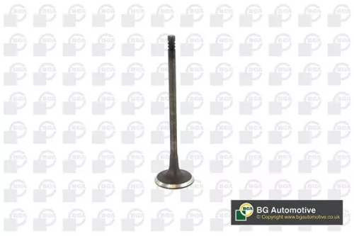 Intake Valve