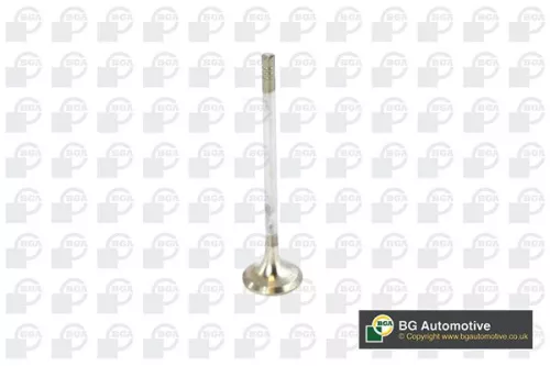 BGA Exhaust Valve (V236820)