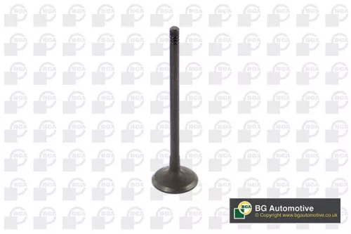 BGA BGA V362211 Intake Valve 