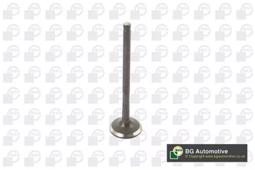 Exhaust Valve