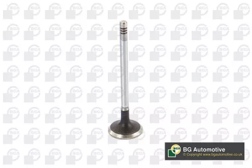 BGA BGA V424831 Intake Valve 
