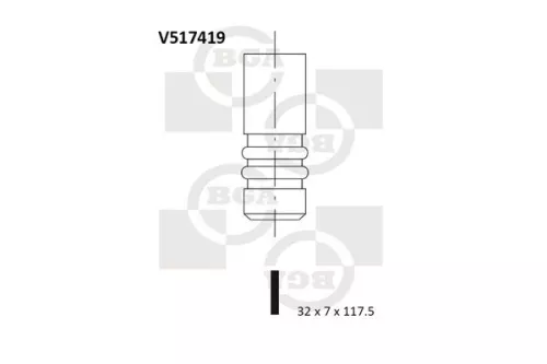 BGA BGA V517419 Intake Valve 