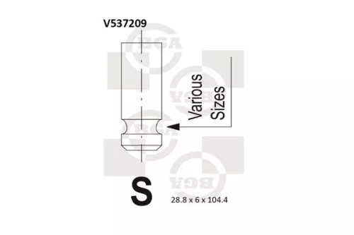 BGA BGA V537209 Intake Valve 