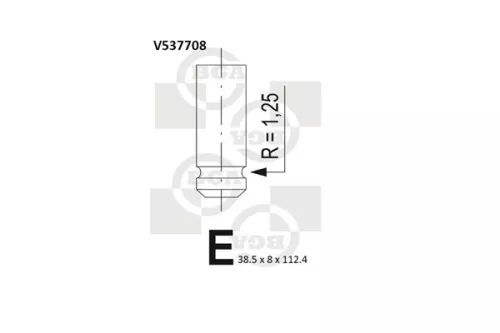 Intake Valve