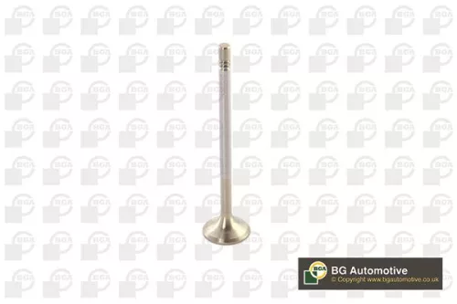 Exhaust Valve