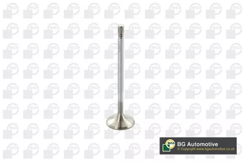 BGA BGA V560011 Intake Valve 