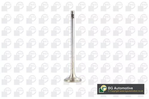 BGA Exhaust Valve (V561128)