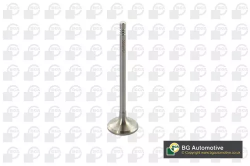 BGA BGA V591500 Intake Valve 