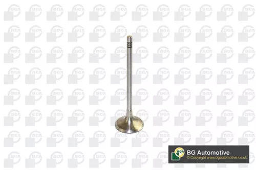 BGA BGA V591701 Intake Valve 