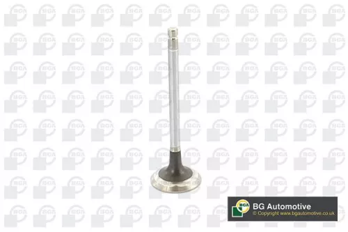 Exhaust Valve