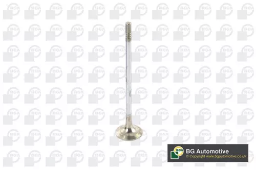 Exhaust Valve
