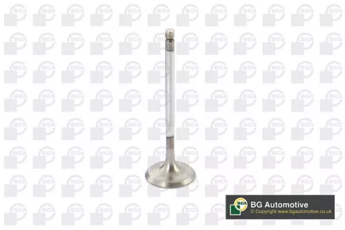 BGA BGA V851291 Intake Valve 