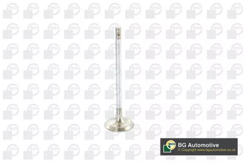 BGA BGA V917010 Intake Valve 