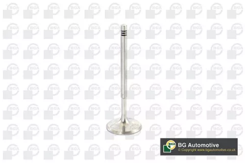 BGA BGA V960221 Intake Valve 