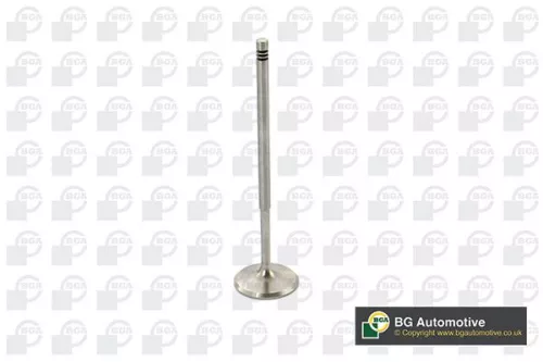 BGA BGA V969601 Intake Valve 