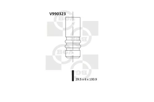 Intake Valve