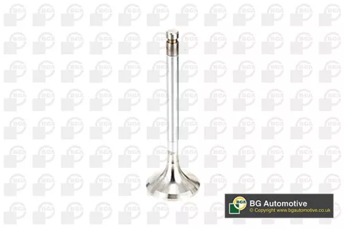 BGA Exhaust Valve (V991716)