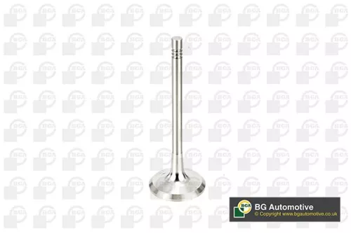 BGA Exhaust Valve (V991760)