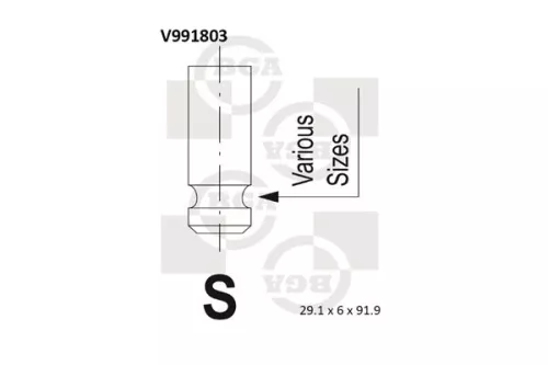 Intake Valve